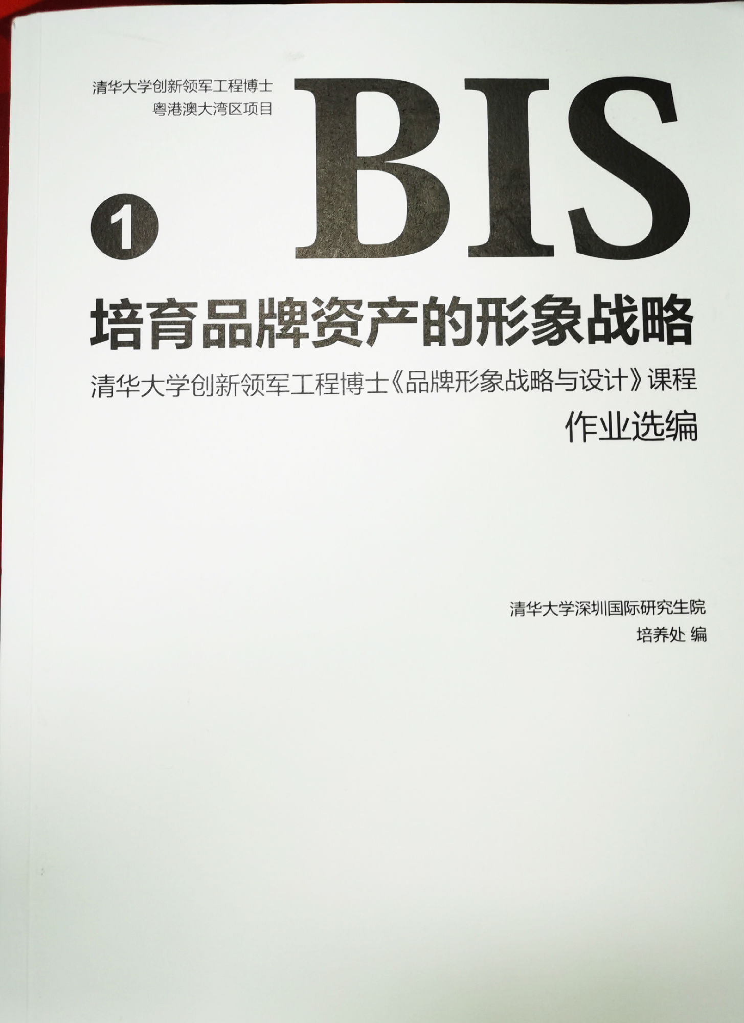 《BIS培育品牌資產的形象戰略》
